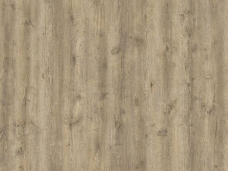 Дизайн - ДУБ ОРЕН 100547 - 2.0 м